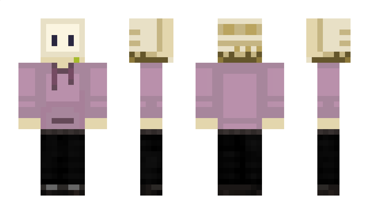 pjDigi Minecraft Skin