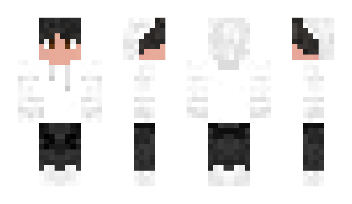 BartizeR Minecraft Skin