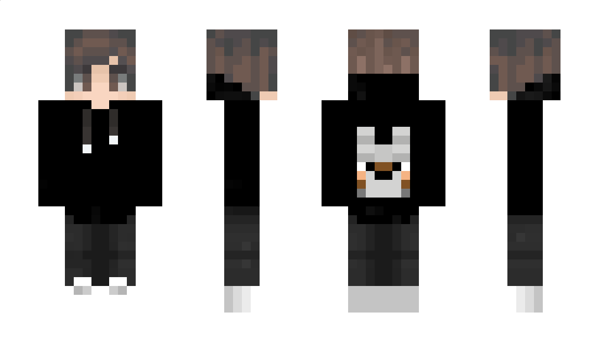 Flashdragwolf Minecraft Skin