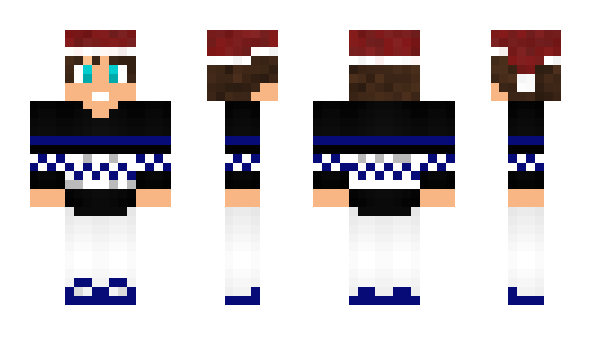 Hwp Minecraft Skin