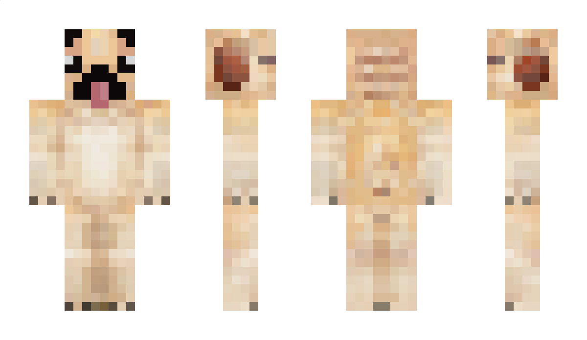 BarkalotHero Minecraft Skin