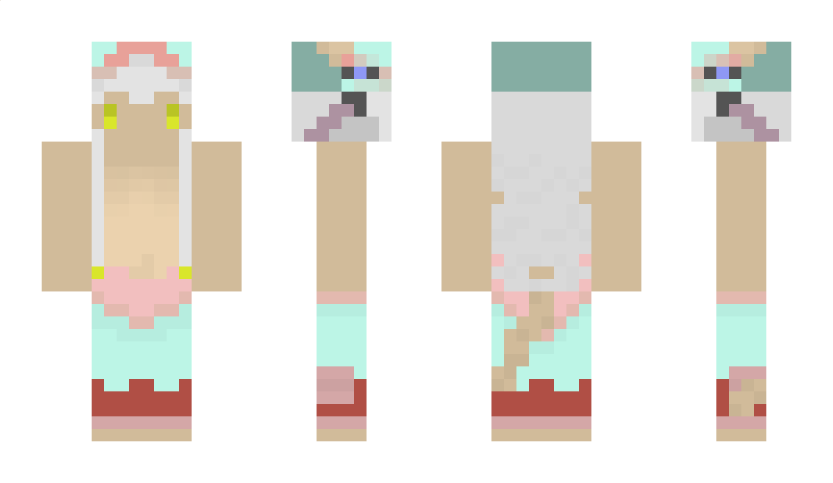 aos Minecraft Skin