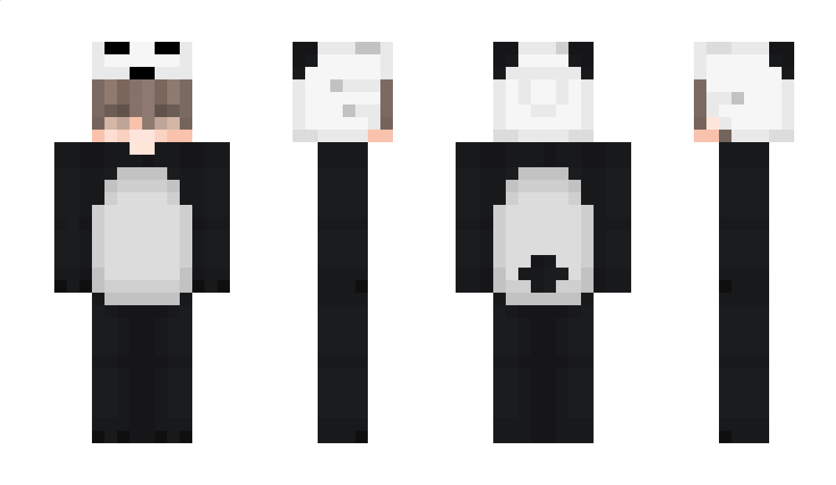 skeletoner Minecraft Skin