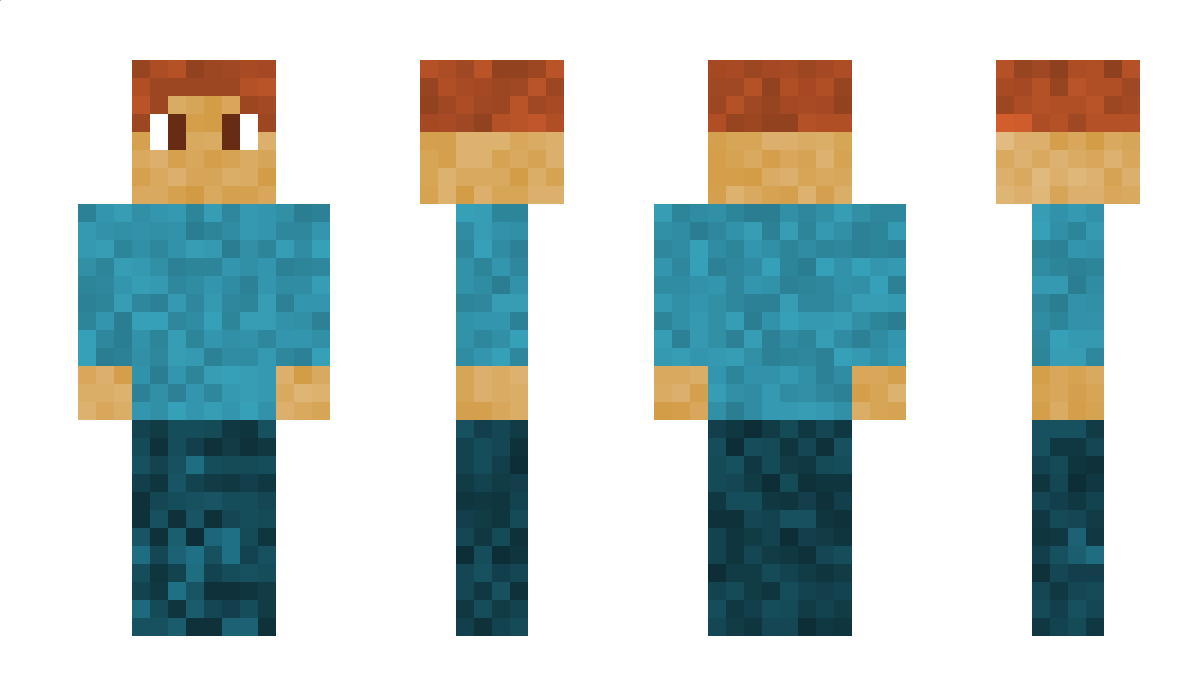 _JanekFO3012_ Minecraft Skin