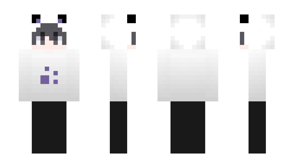 Complementation Minecraft Skin