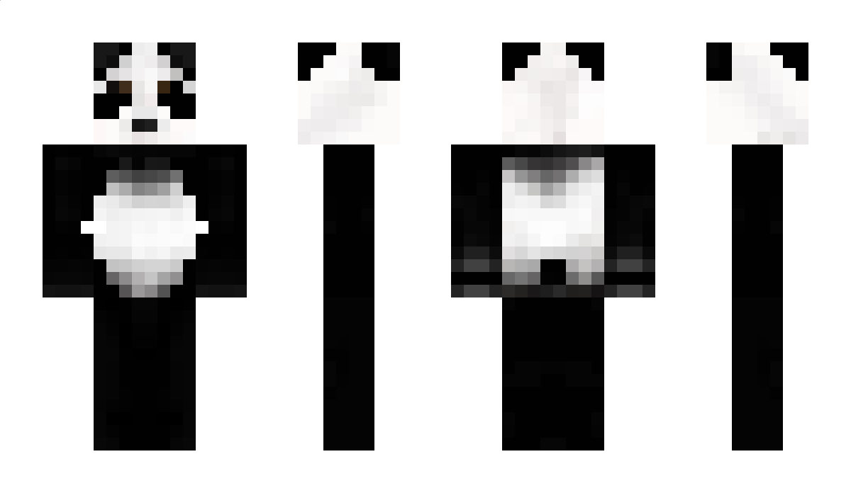 paanda_x2 Minecraft Skin