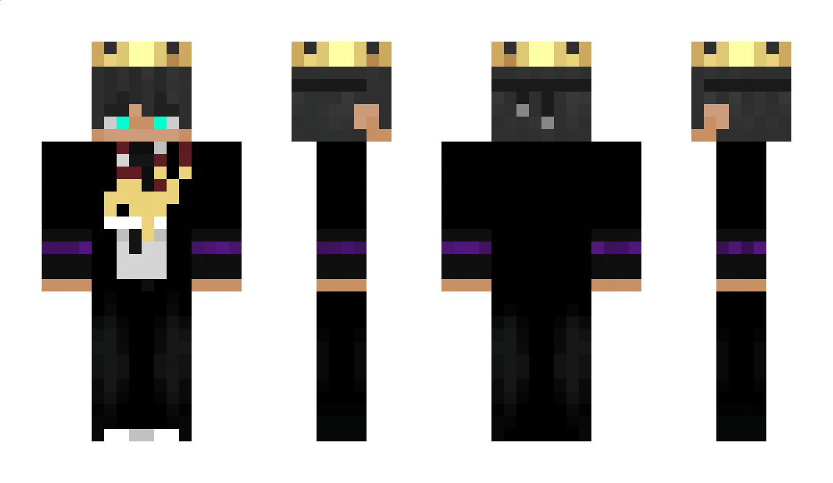 TheDolphinIQ Minecraft Skin