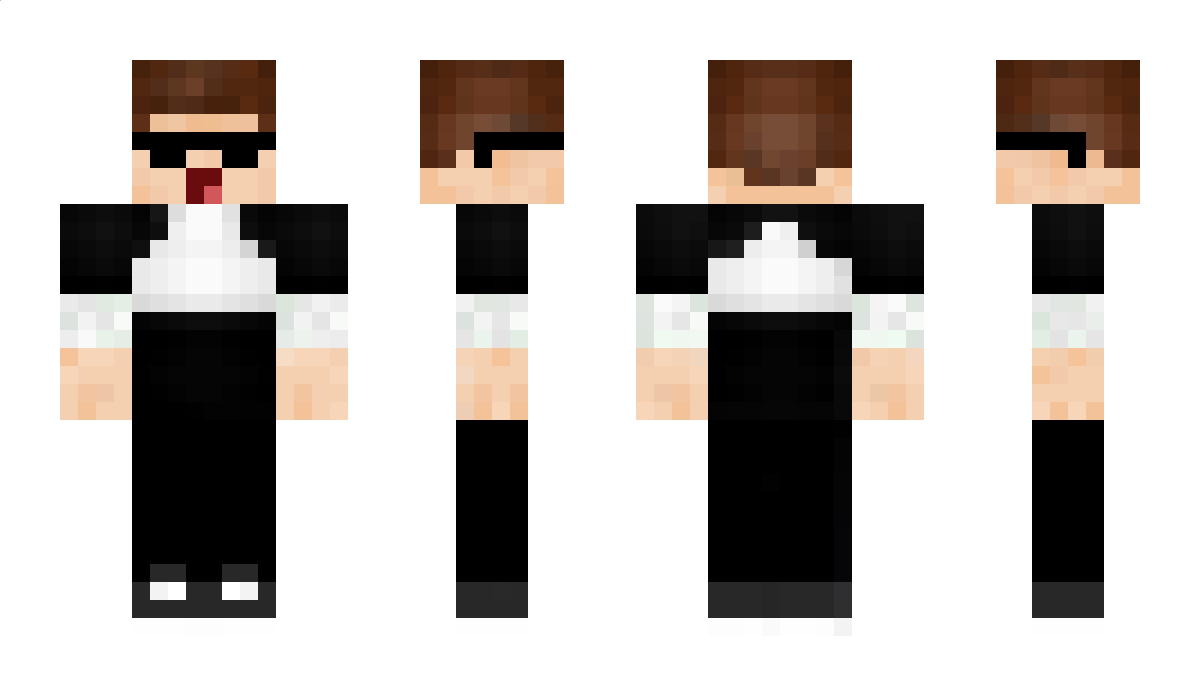 IchSagNurGG Minecraft Skin