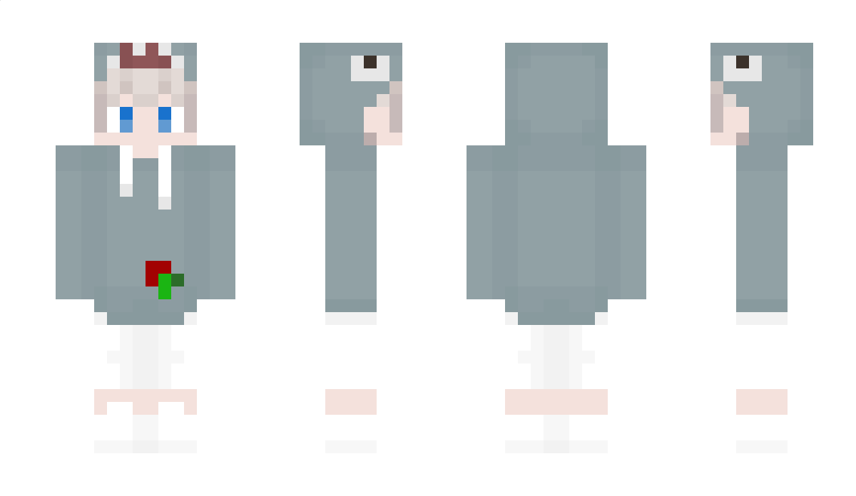 WitekJr Minecraft Skin