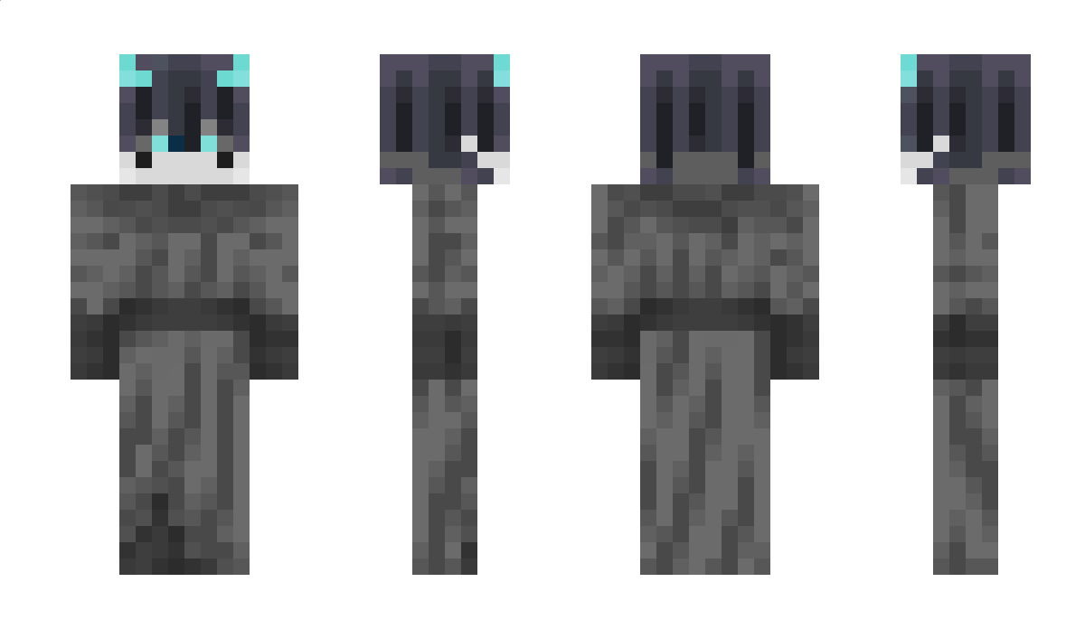 dr6c0 Minecraft Skin