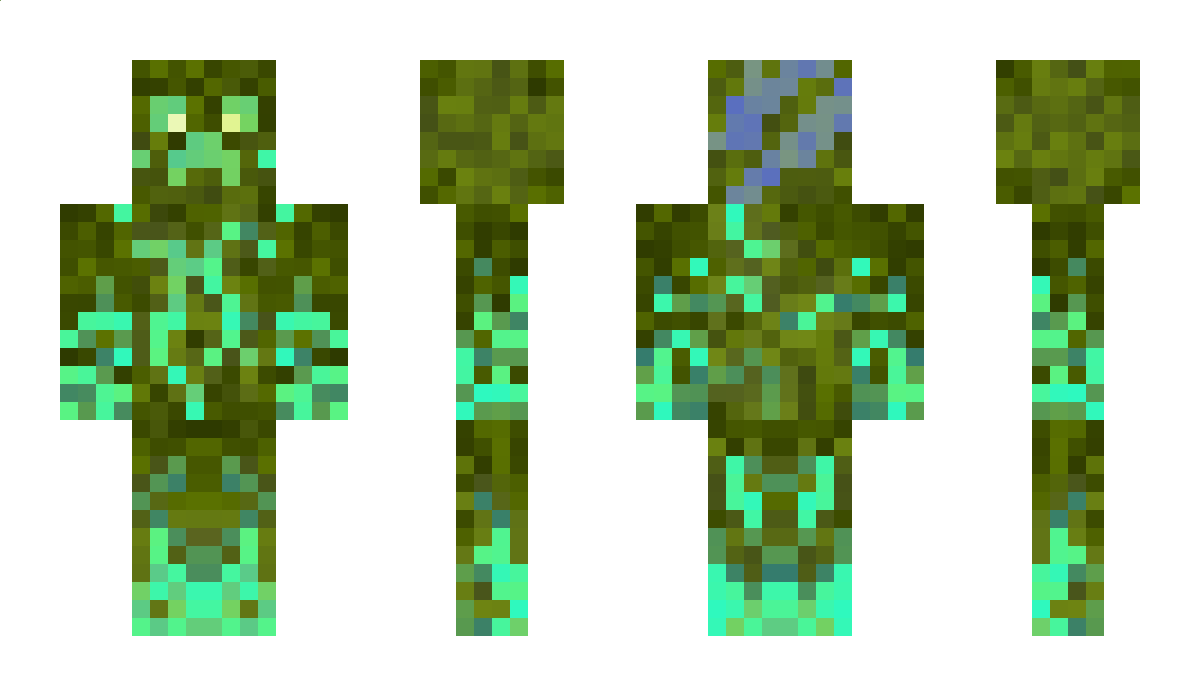 303craft Minecraft Skin