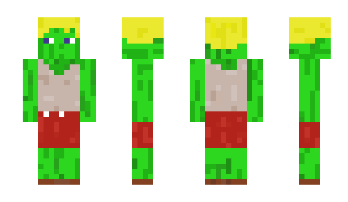 Womo63 Minecraft Skin