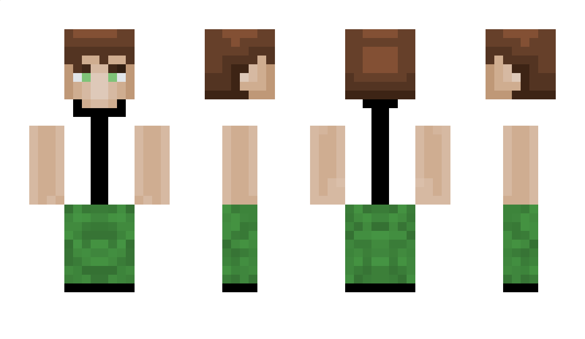 Arninis Minecraft Skin