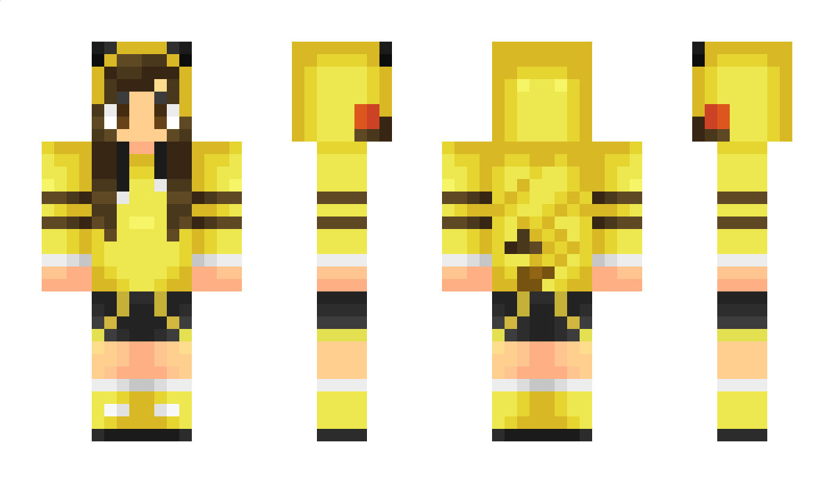 mikachu22 Minecraft Skin