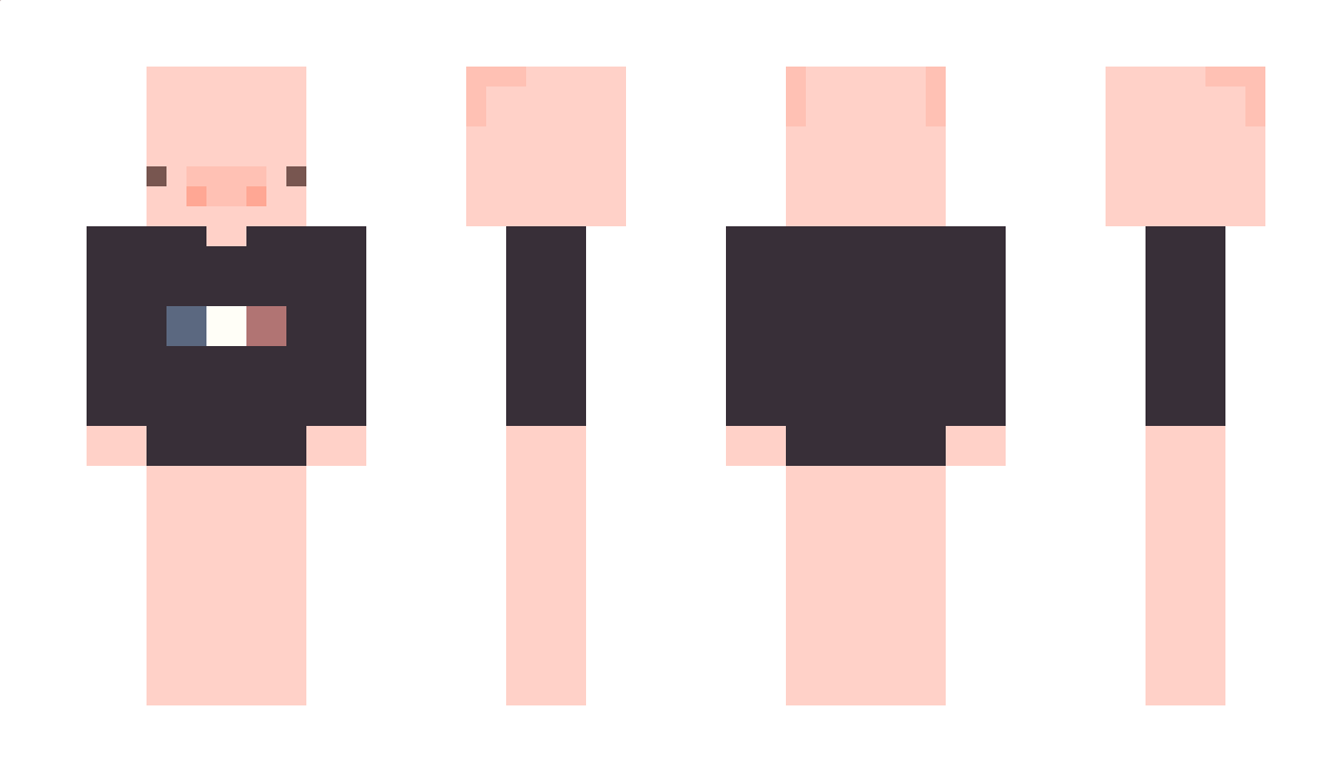 FlashNight_ Minecraft Skin