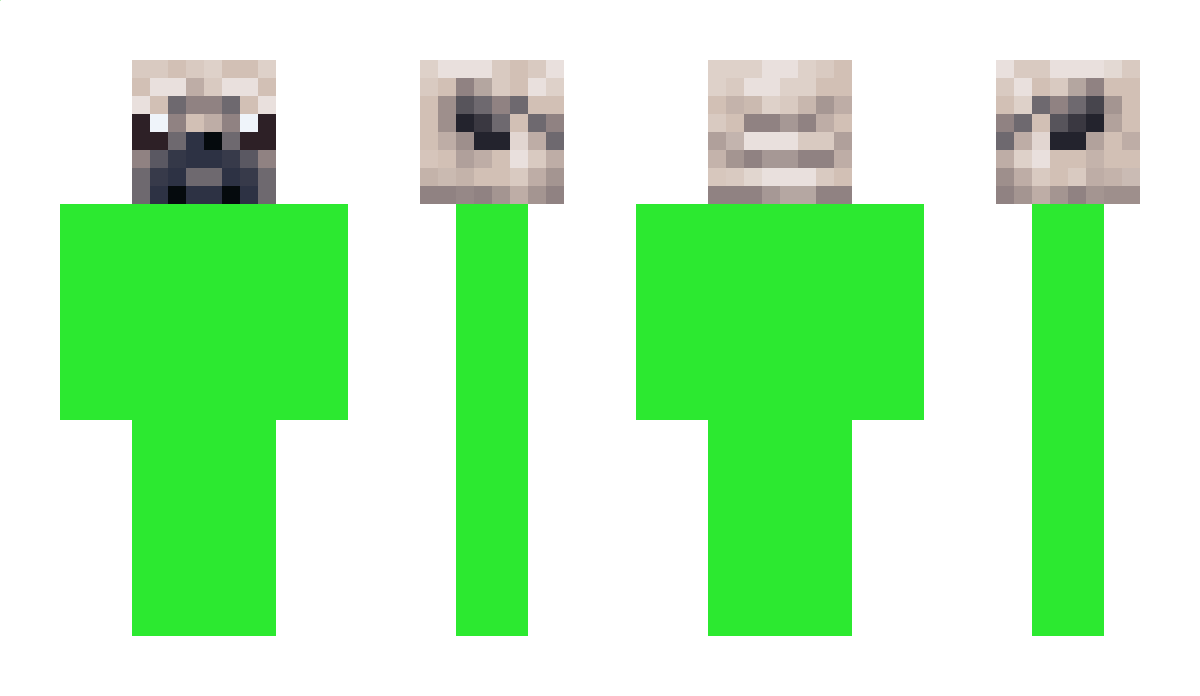 Doggy_Commet Minecraft Skin