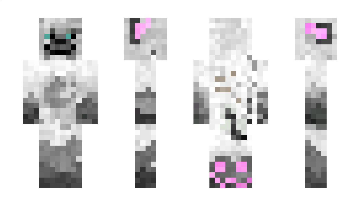 bogdandurnea Minecraft Skin