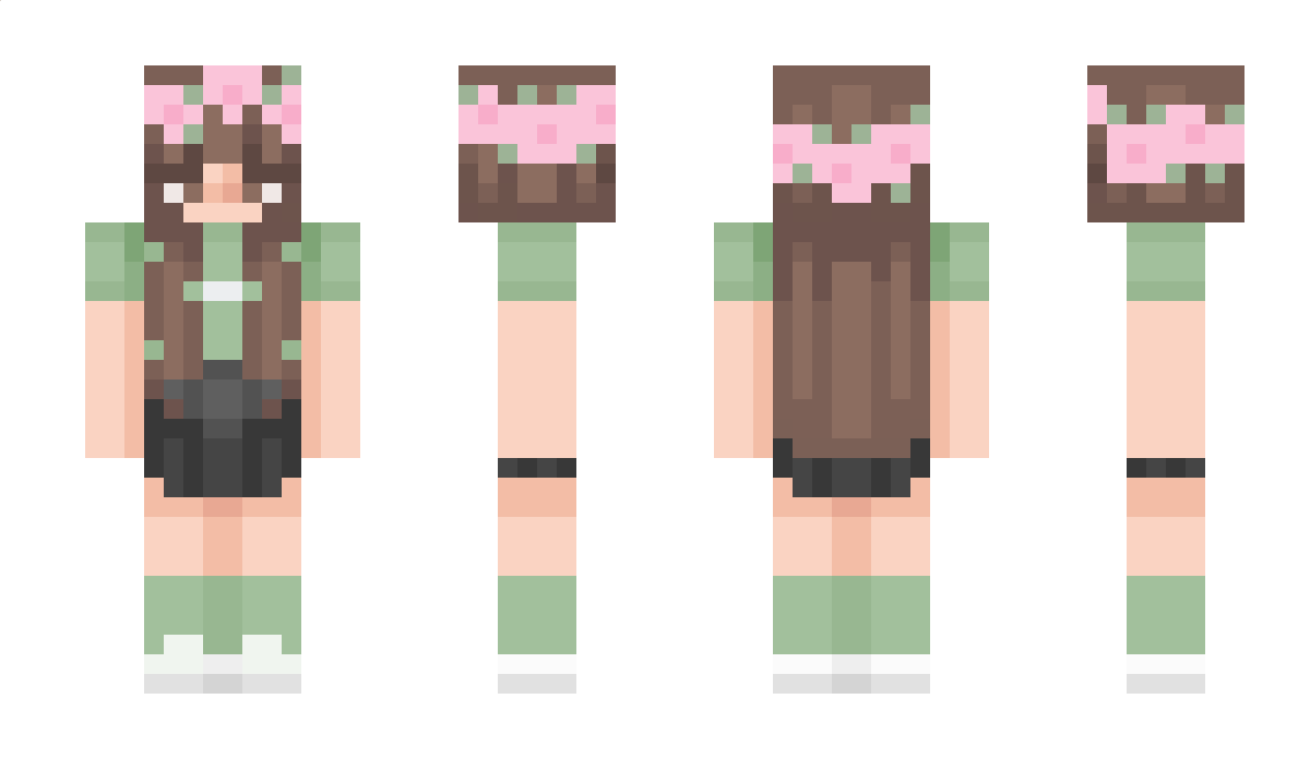 SAGETHECREATOR Minecraft Skin