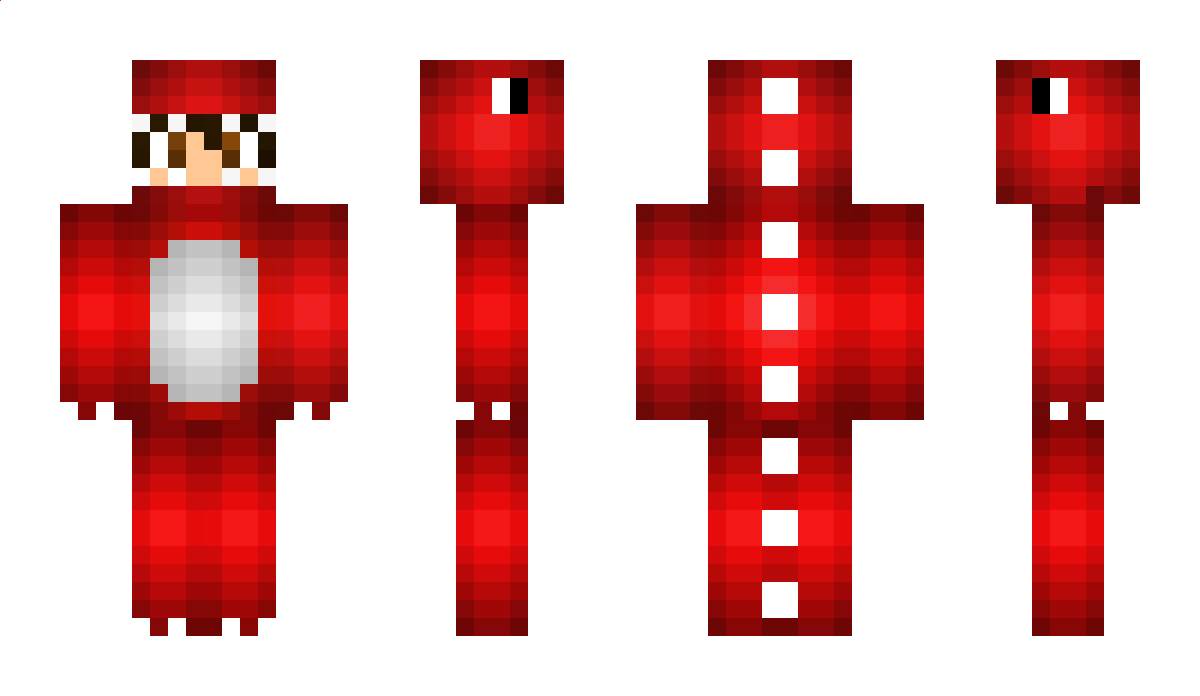 fdsa Minecraft Skin