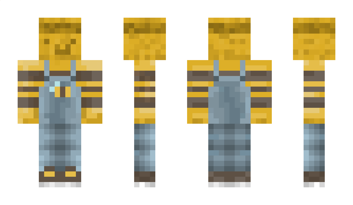 Rozzer047 Minecraft Skin