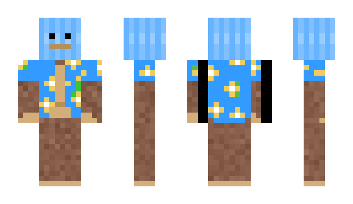 axeer Minecraft Skin