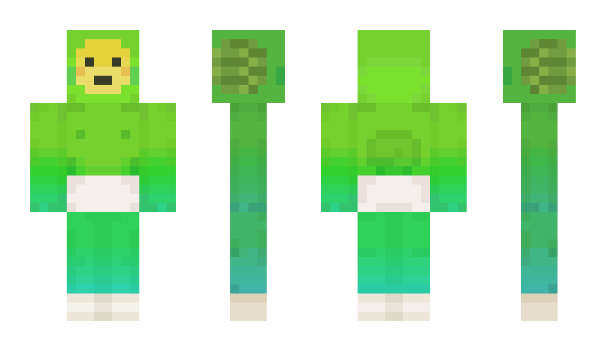 sargL Minecraft Skin