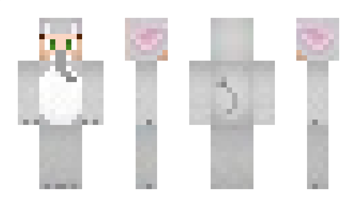 Danidou Minecraft Skin