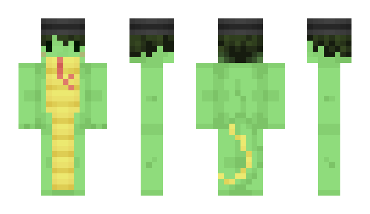 delakobra14 Minecraft Skin