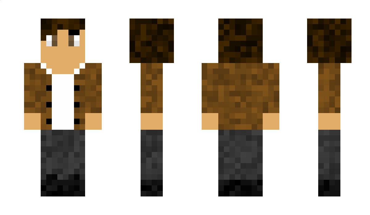 Minivansegway Minecraft Skin