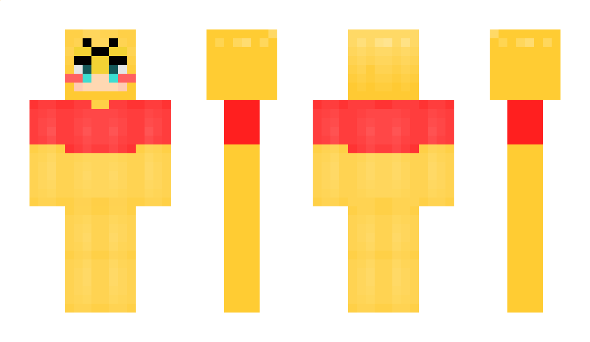 Plugin Minecraft Skin