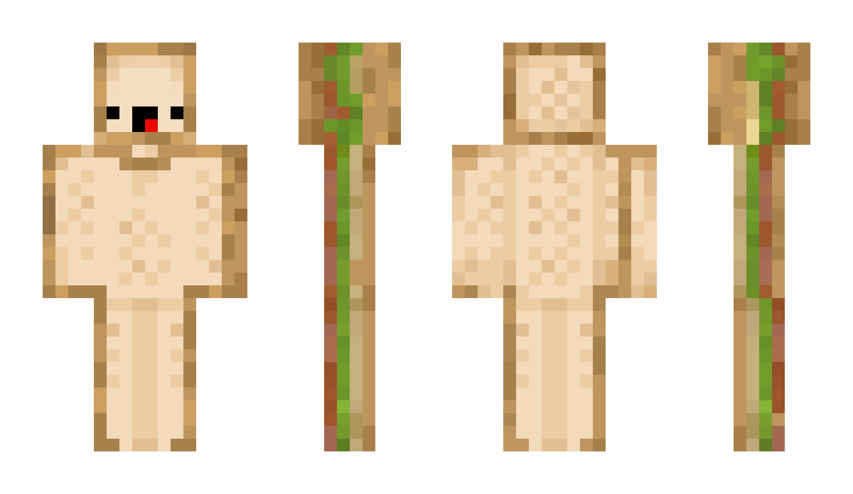 Toastmaster916 Minecraft Skin