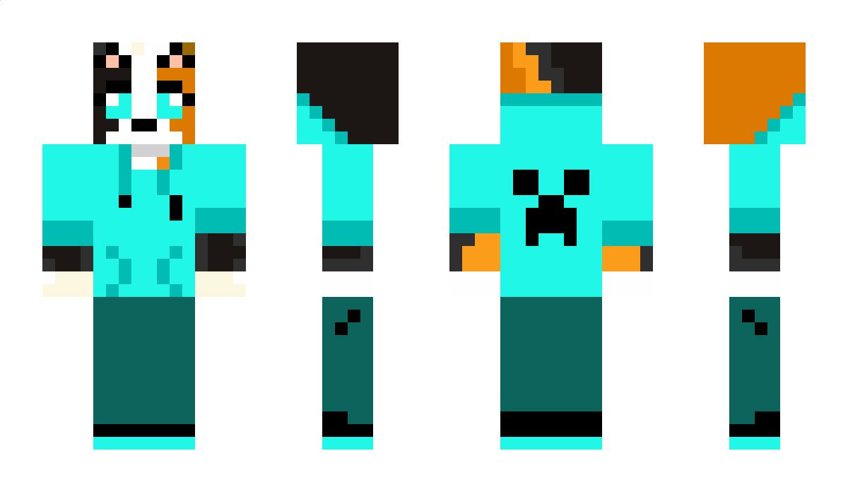 will_the_cat Minecraft Skin