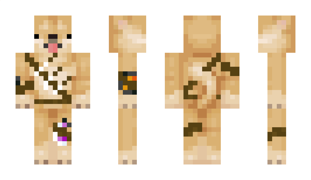 DoubleDoggoDoge Minecraft Skin