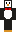 Jet_Penguin Minecraft Skin