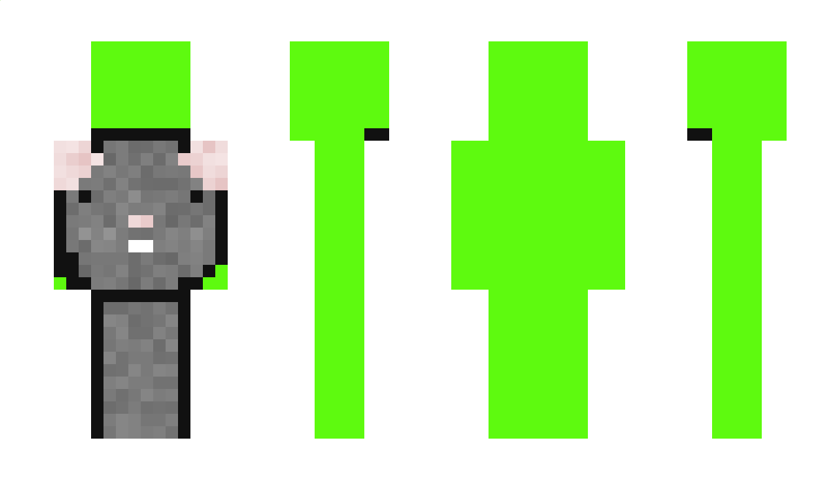 rataquesoxd Minecraft Skin