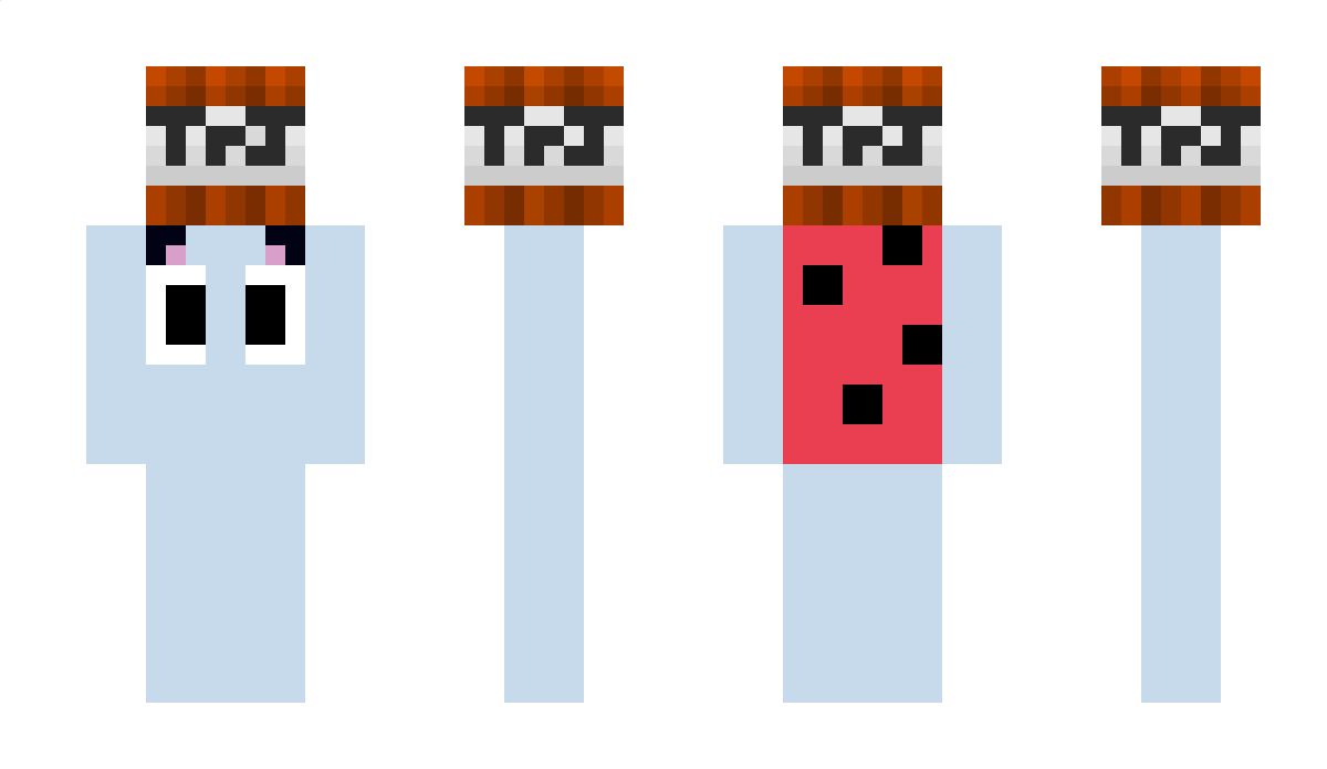 Valkooor Minecraft Skin