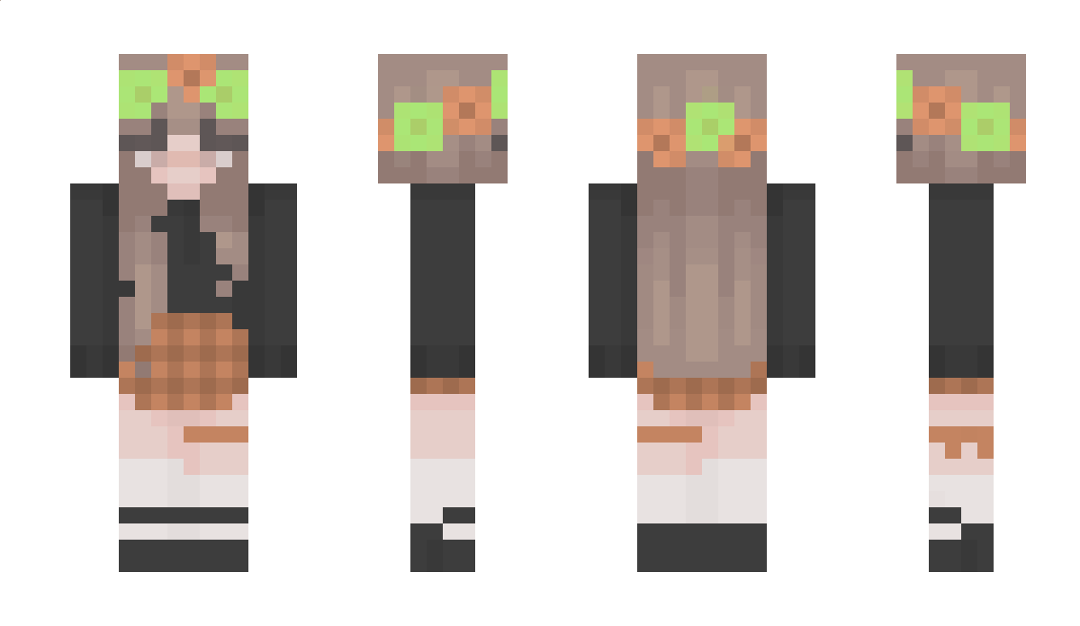 LeDysonV10 Minecraft Skin