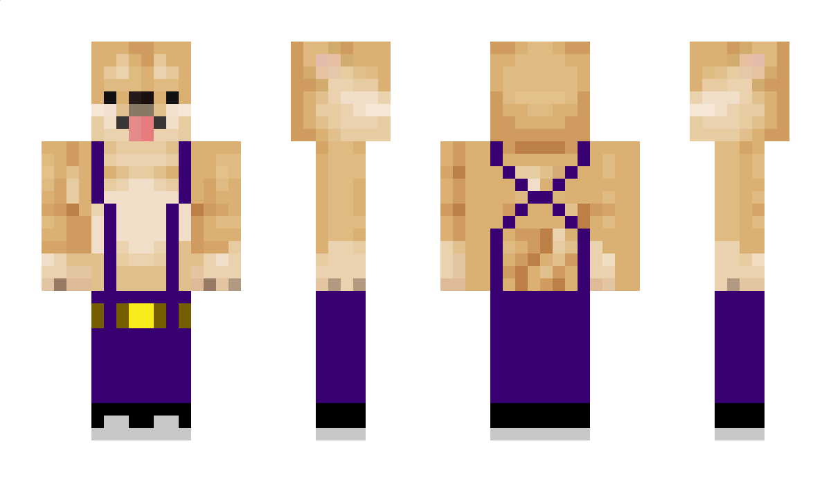 Shibakichi_1310 Minecraft Skin