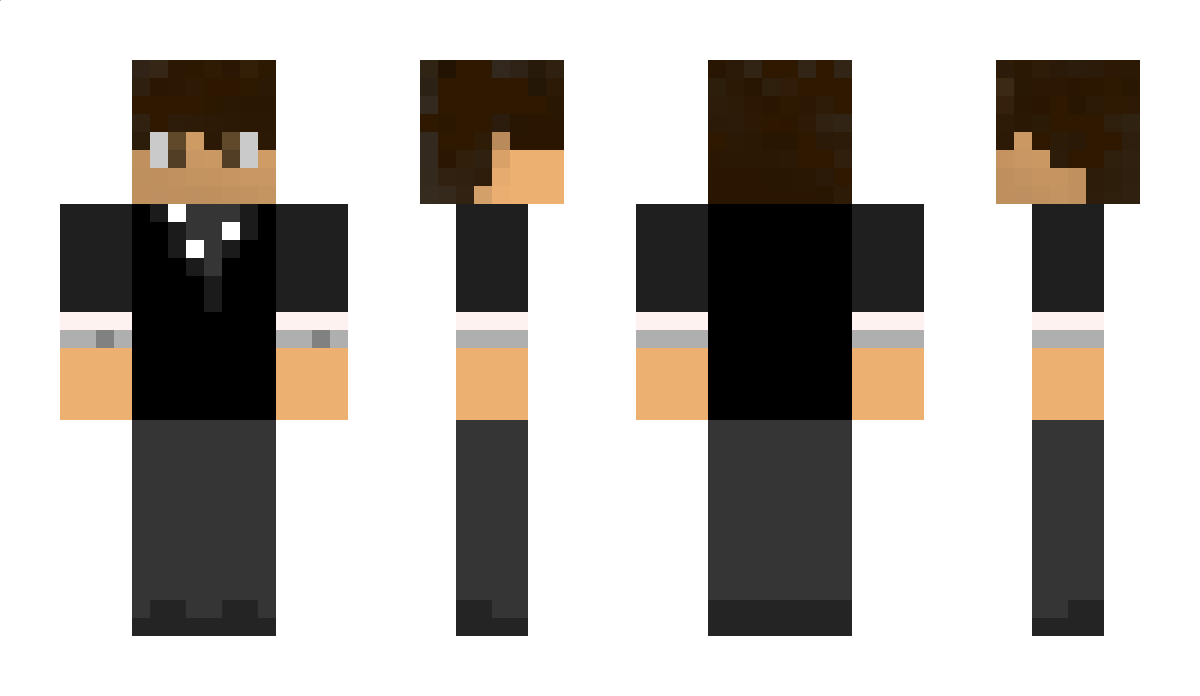 FortisAQ Minecraft Skin