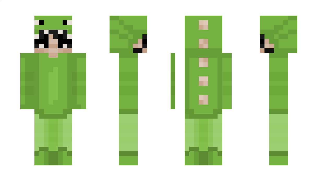 DinoDomiii Minecraft Skin