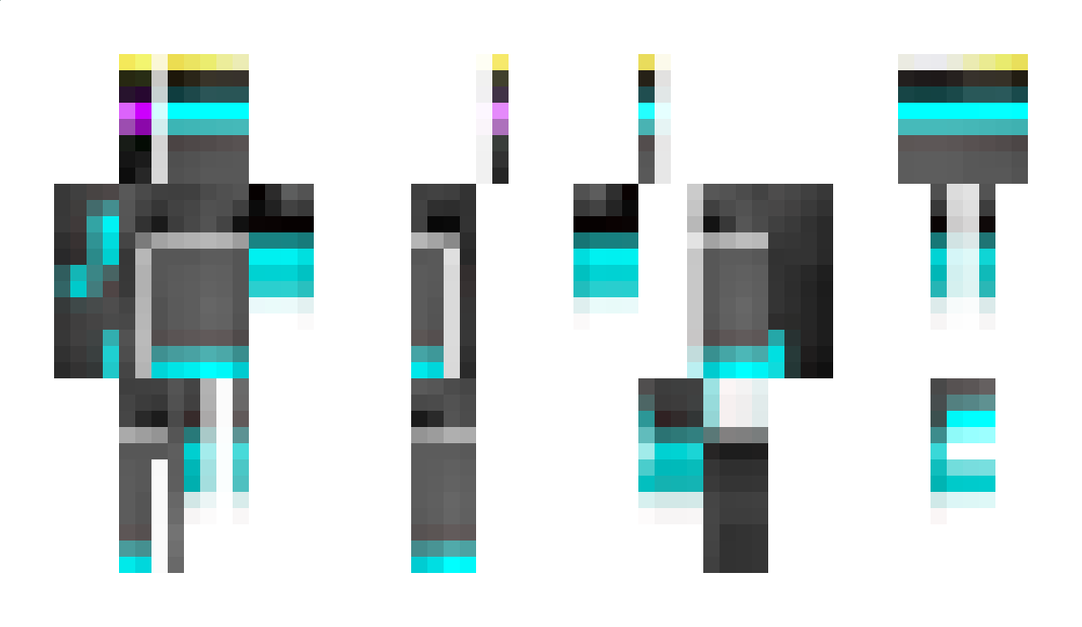 DivineTurtle9 Minecraft Skin