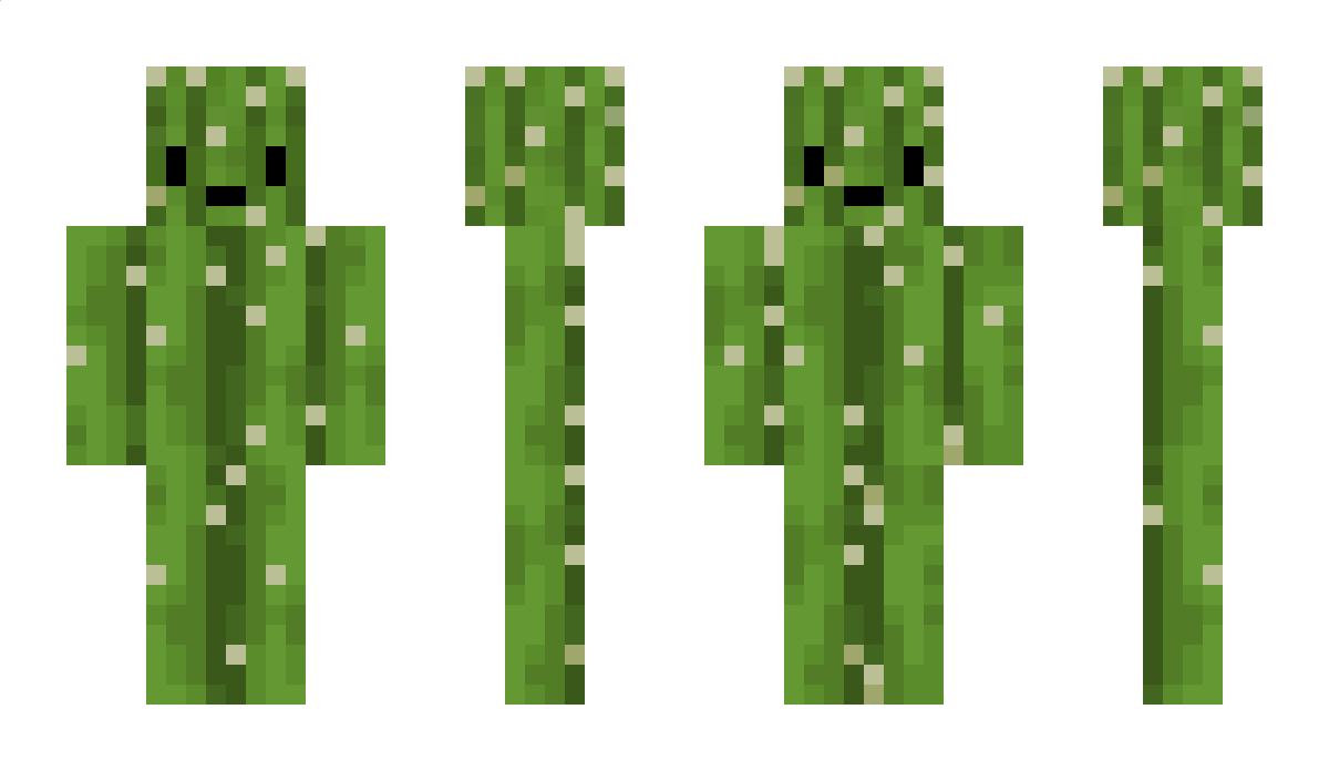 DxrKaktus Minecraft Skin