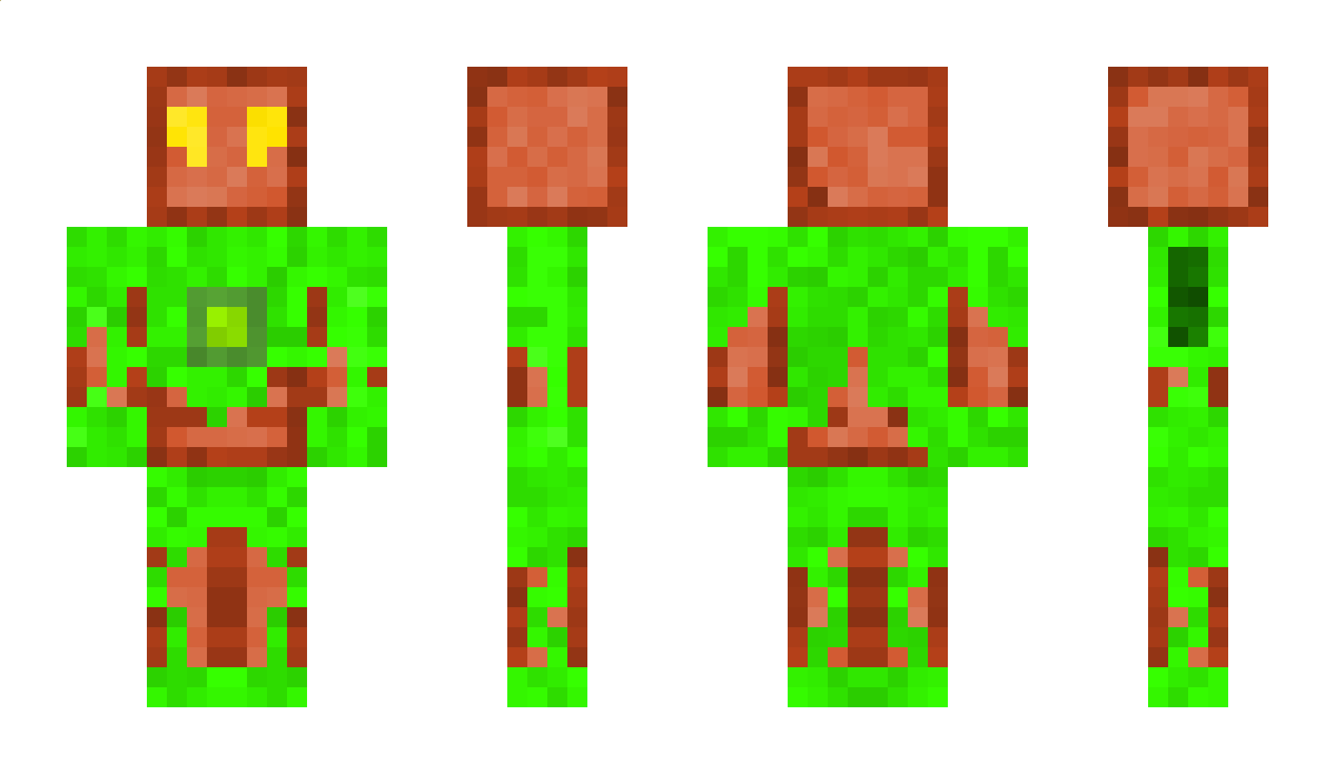 CarzySpider9 Minecraft Skin