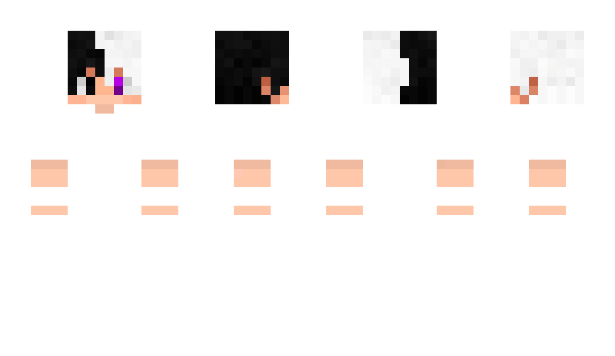 ADASIEK4791 Minecraft Skin