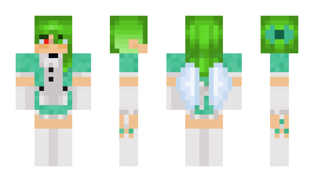 ChaosHatesIt Minecraft Skin