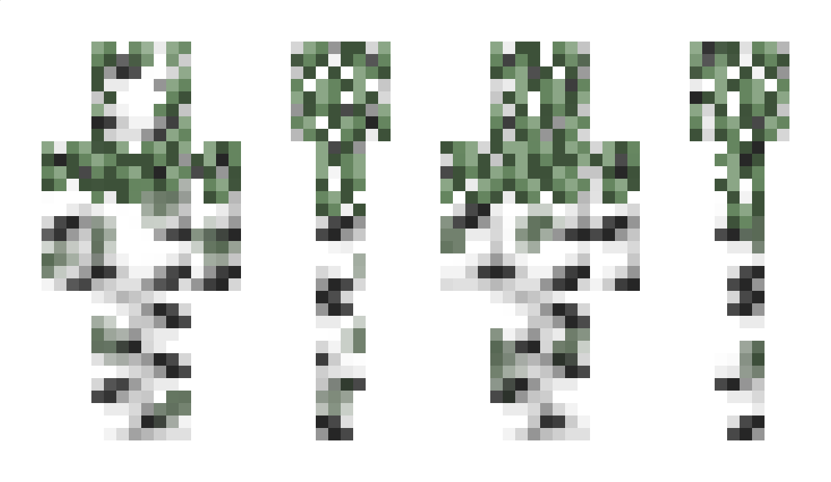 Birch Minecraft Skin