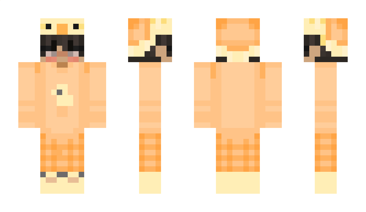 OG_DuckZ_ Minecraft Skin