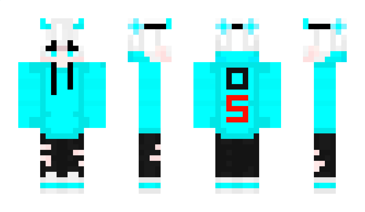 LasseJ8 Minecraft Skin