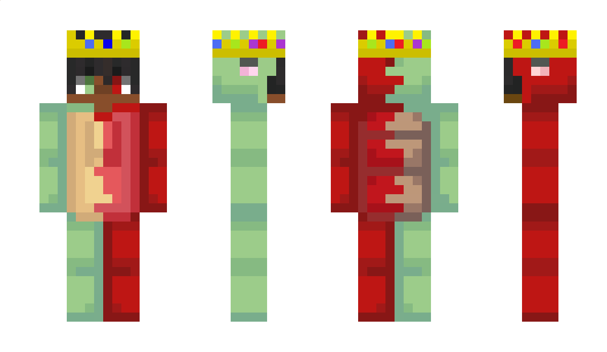 TurtlLive Minecraft Skin