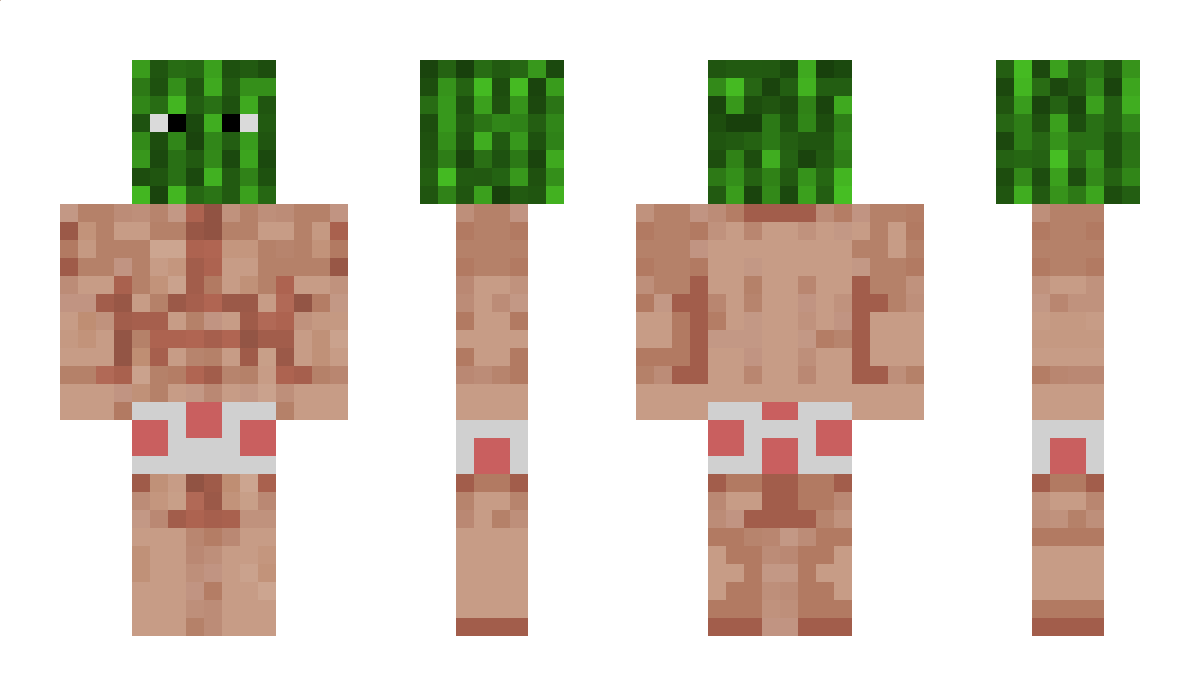 The_Duck_Man Minecraft Skin